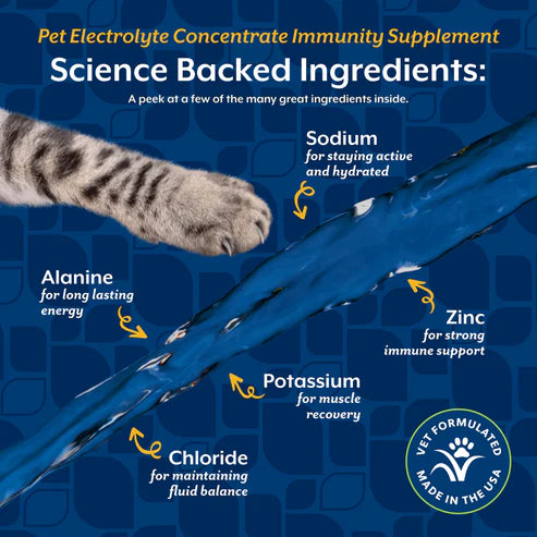 Naturvet Pet Electrolyte Concentrate, 16-oz Bottle