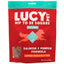 Lucy Pet Hip To Be Square, Salmon & Pumpkin Recipe Dog Treat, 6-oz Bag