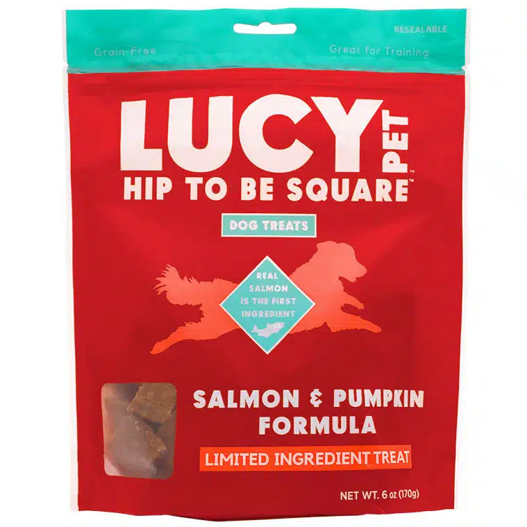 Lucy Pet Hip To Be Square, Salmon & Pumpkin Recipe Dog Treat, 6-oz Bag