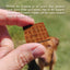 Lucy Pet Hip To Be Square, Salmon & Pumpkin Recipe Dog Treat, 6-oz Bag