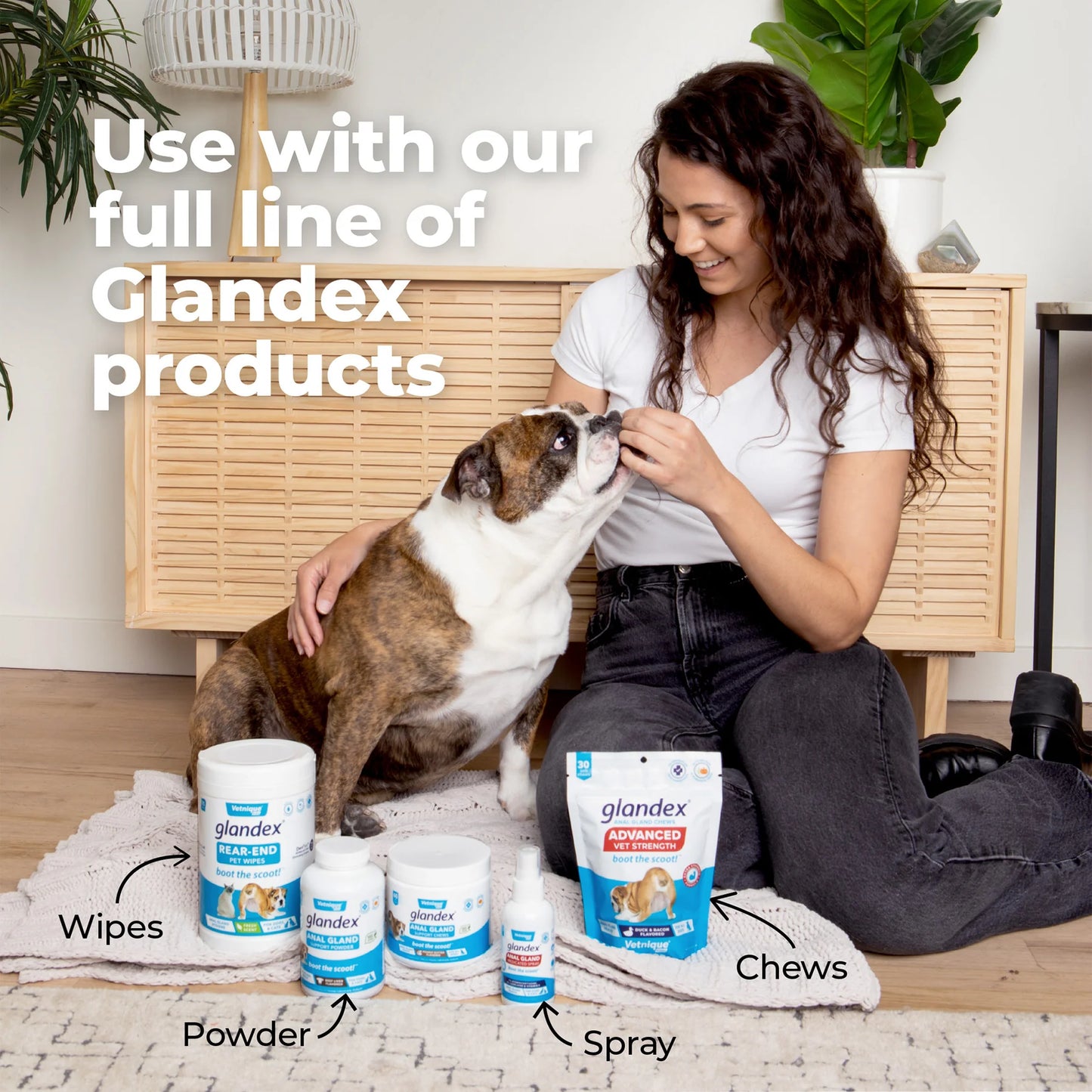 Glandex® Anal Gland Hygienic Pet Wipes