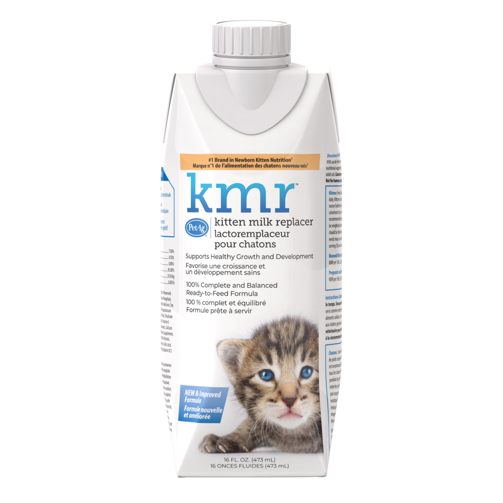 PetAg KMR Milk Replacer Liquid 16-oz, For Kittens