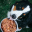 Oma's Pride Dog Chicken Signature Mix, Frozen Raw Dog Food Supplement