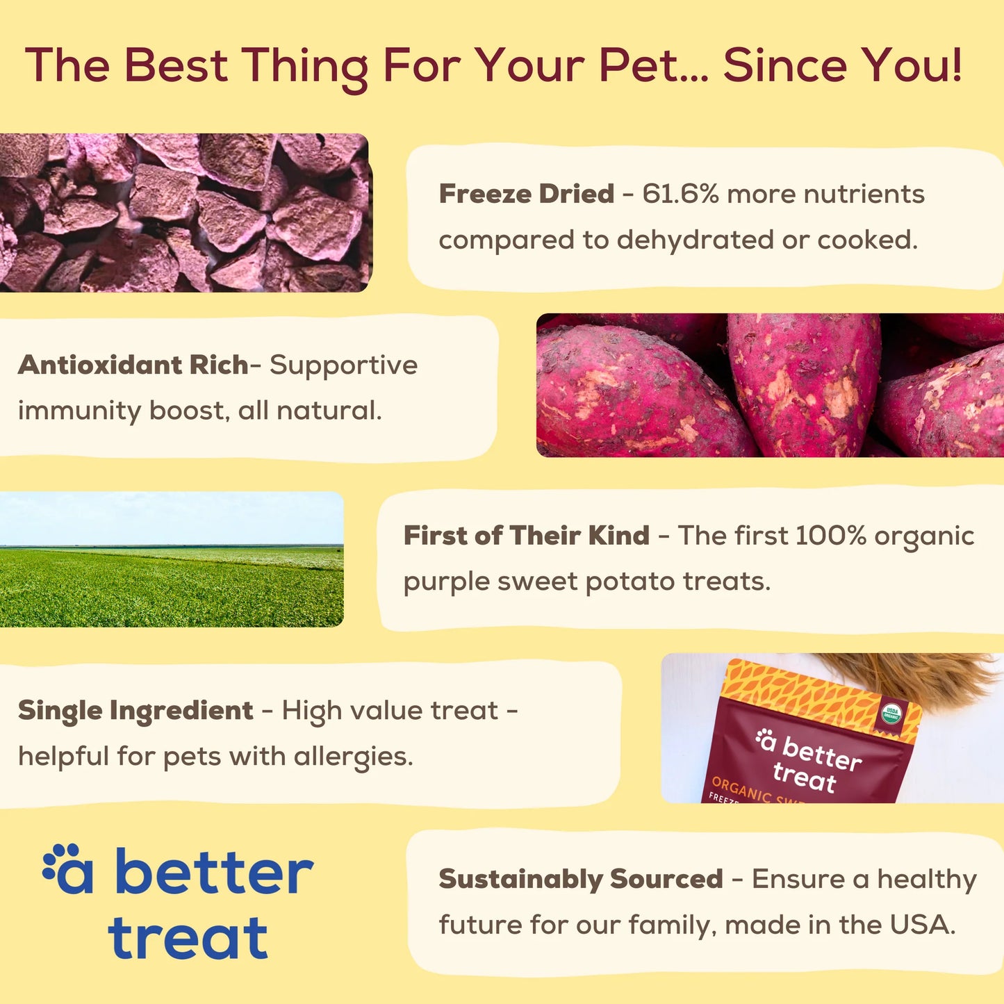 A Better Treat Freeze Dried Raw USDA Organic Purple Sweet Potato Dog and Cat Treats, 2-oz Bag