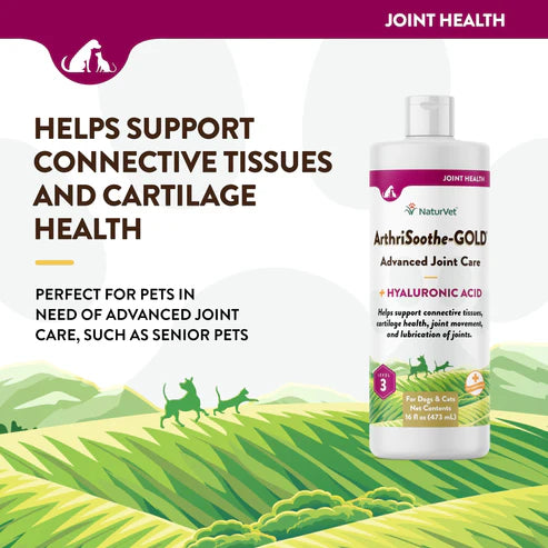 NaturVet Arthrisoothe-Gold Liquid 16-oz, Dog Supplement