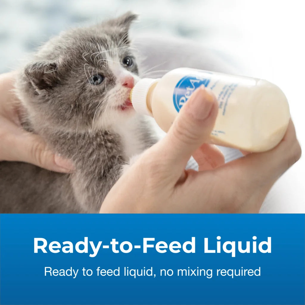 PetAg KMR Milk Replacer Liquid 16-oz, For Kittens