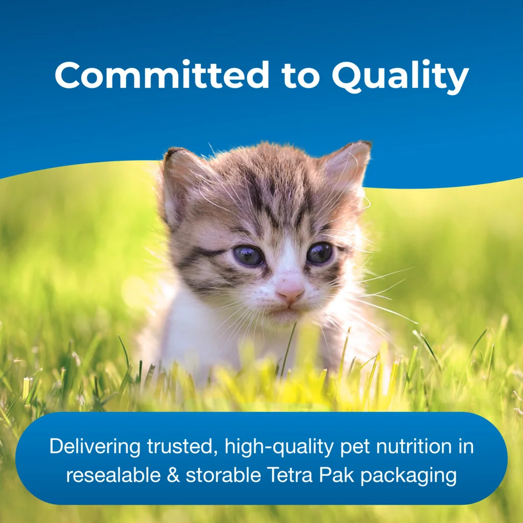 PetAg KMR Milk Replacer Liquid 16-oz, For Kittens