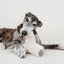 Lambwolf Collective Large Cream Breuer, Dog Toy