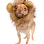 Pet Krewe Lion Mane, Dog & Cat Costume