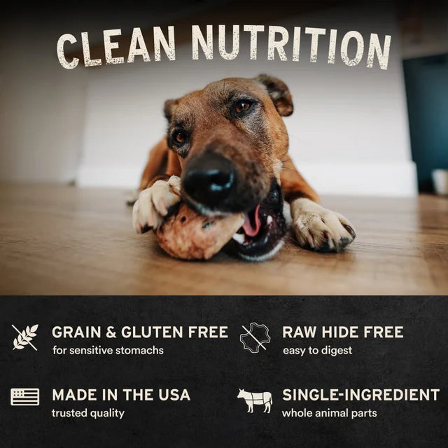 Vital Essentials Freeze-Dried Raw Bar Salmon Skin, Dog Chew