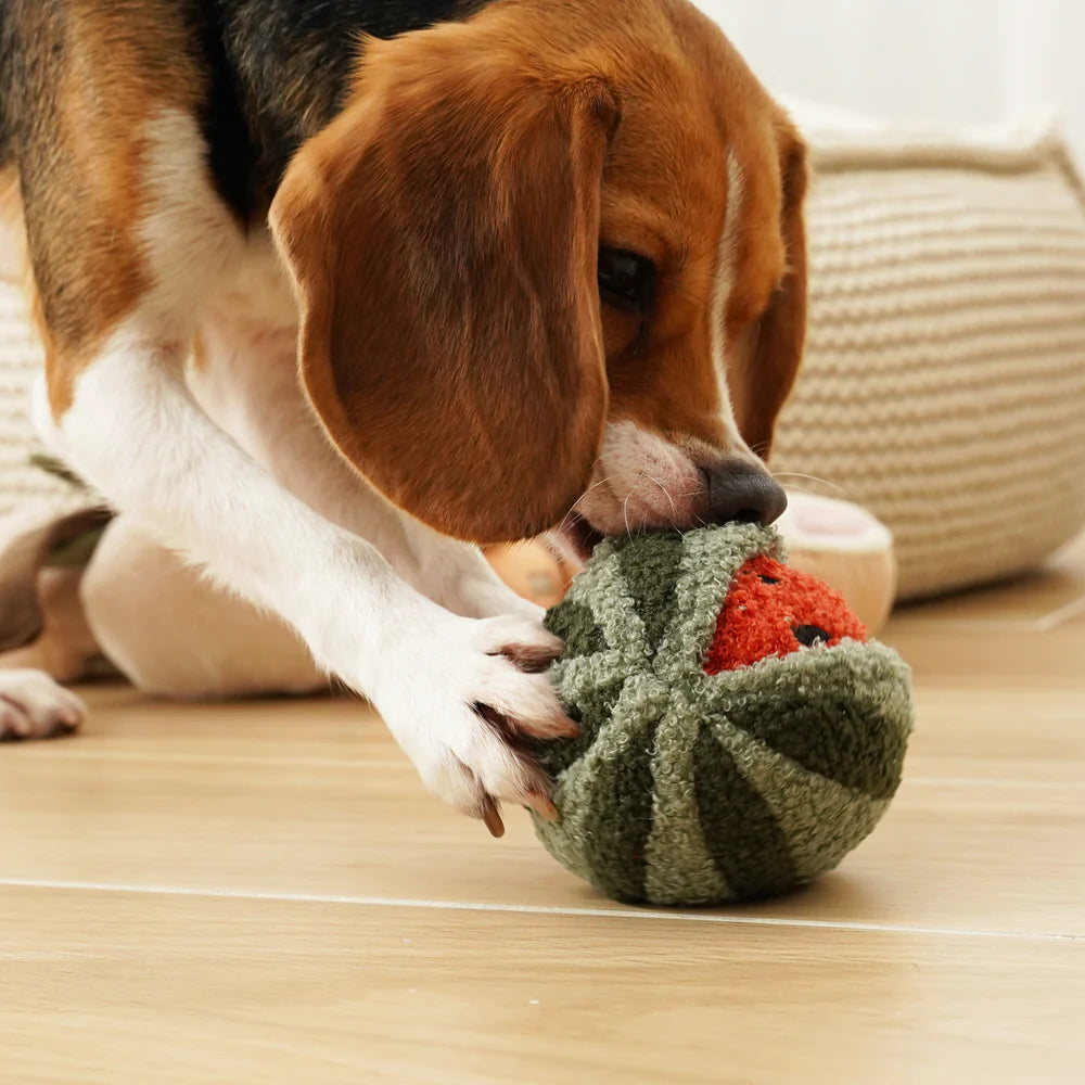 Lambwolf Collective Watermelon Pop, Dog Snuffler Toy