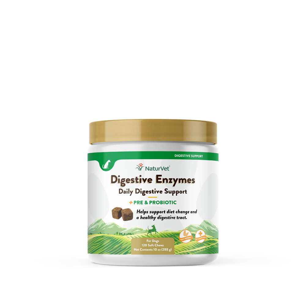 Digestive Enzymes Soft Chew with Prebiotics & Probiotics Digestive Enzymes Soft Chew with Prebiotics & Probiotics