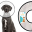 ZenPet E-ClearCollar Recovery Collar For Dogs