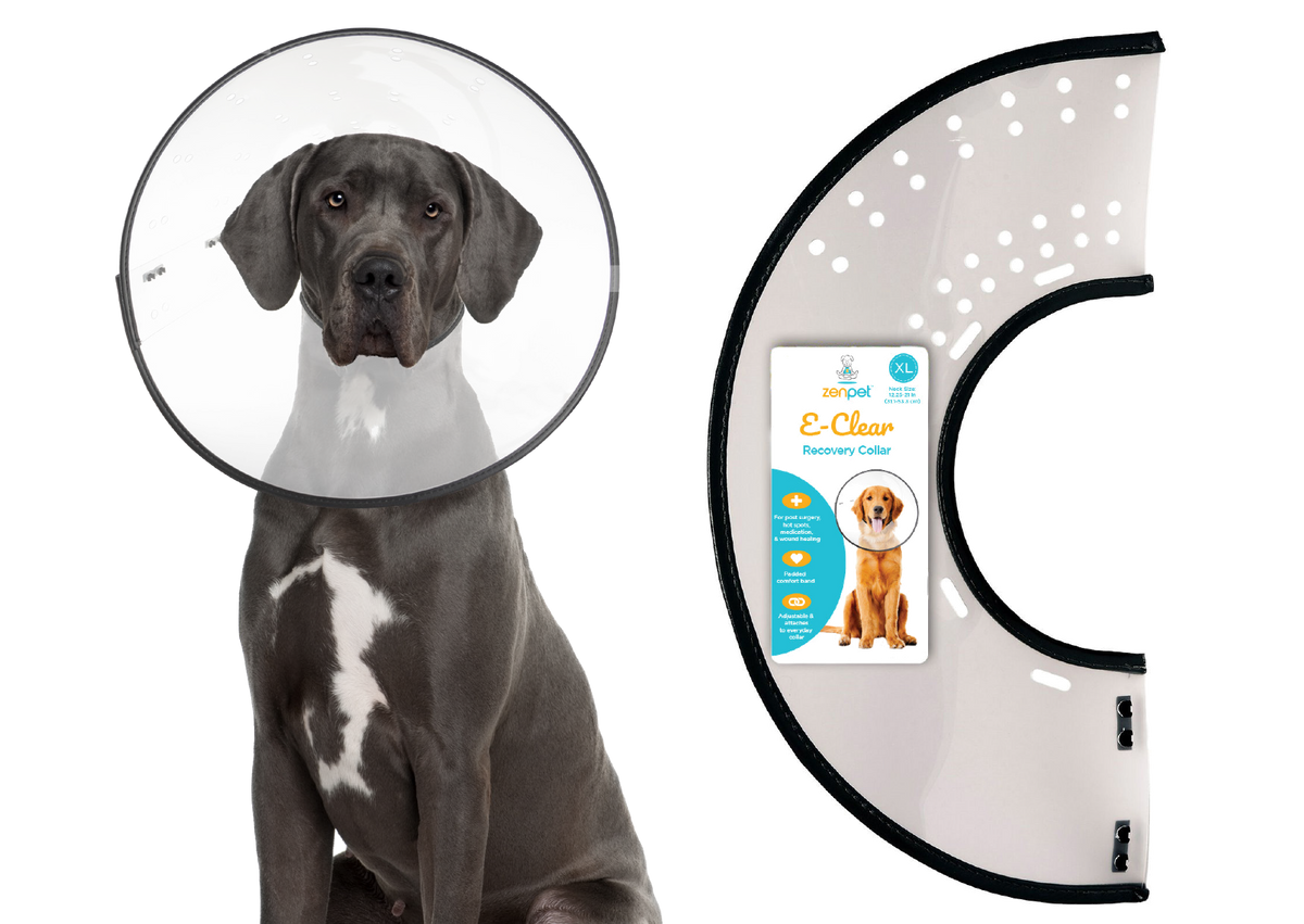 ZenPet E-ClearCollar Recovery Collar For Dogs