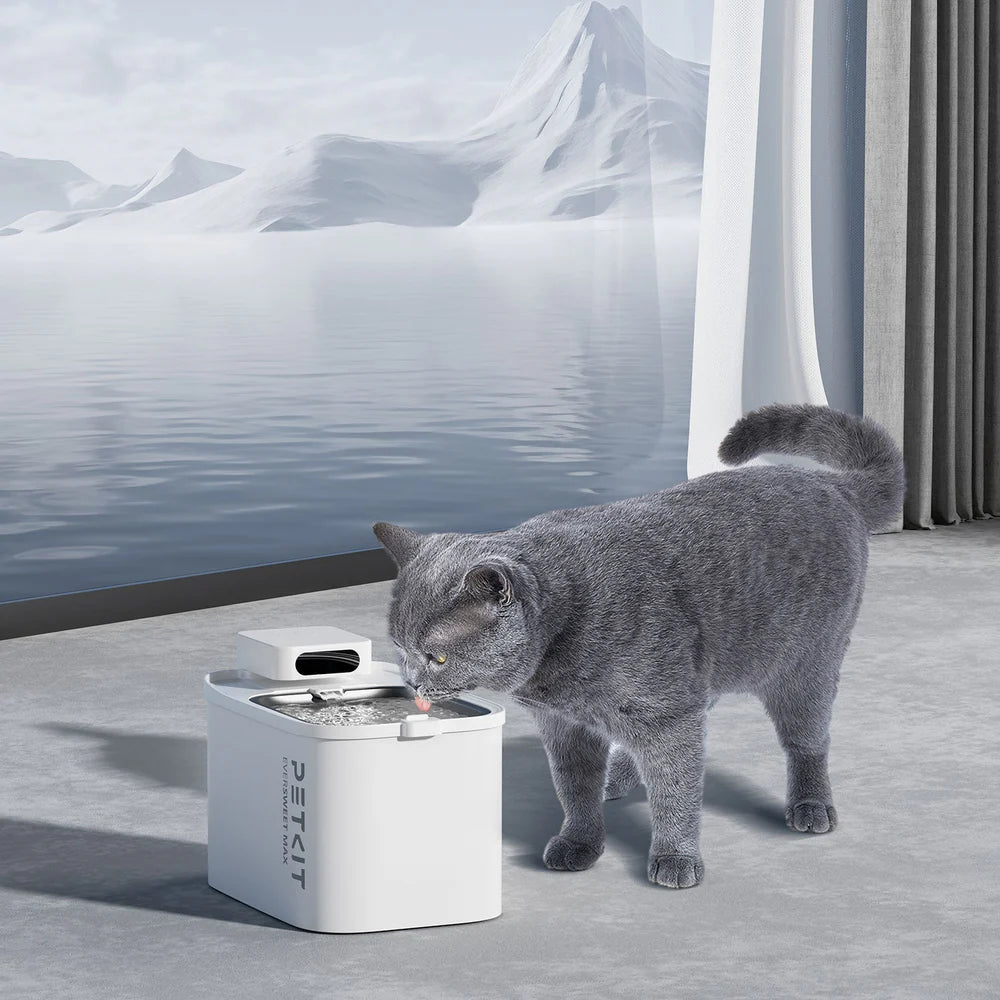 PETKIT EverSweet Max (Cordless) Pet Water Fountain
