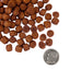 Fromm Nutritionals Sensitive Skin & Stomach Salmon & Whole Oats Recipe, Dry Dog Food
