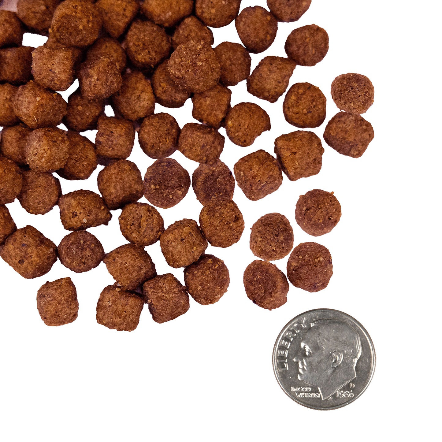 Fromm Nutritionals Sensitive Skin & Stomach Salmon & Whole Oats Recipe, Dry Dog Food