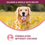 Fromm Nutritionals Sensitive Skin & Stomach Salmon & Whole Oats Recipe, Dry Dog Food