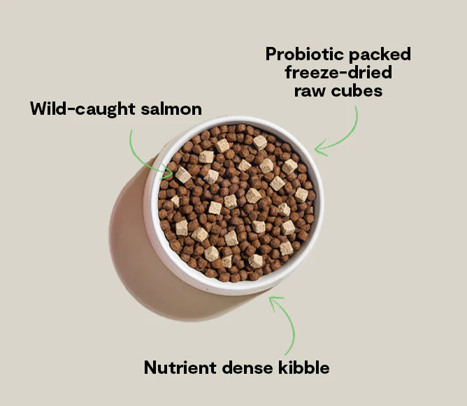 Open Farm GoodGut Wild-Caught Salmon, Dry Dog Food