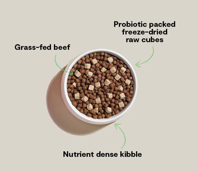 Open Farm GoodGut Grass-Fed Beef, Dry Dog Food