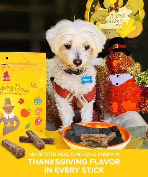 Plato Thanksgiving Dinner Chicken & Pumpkin Sticks Dog Treat, 5-oz Bag