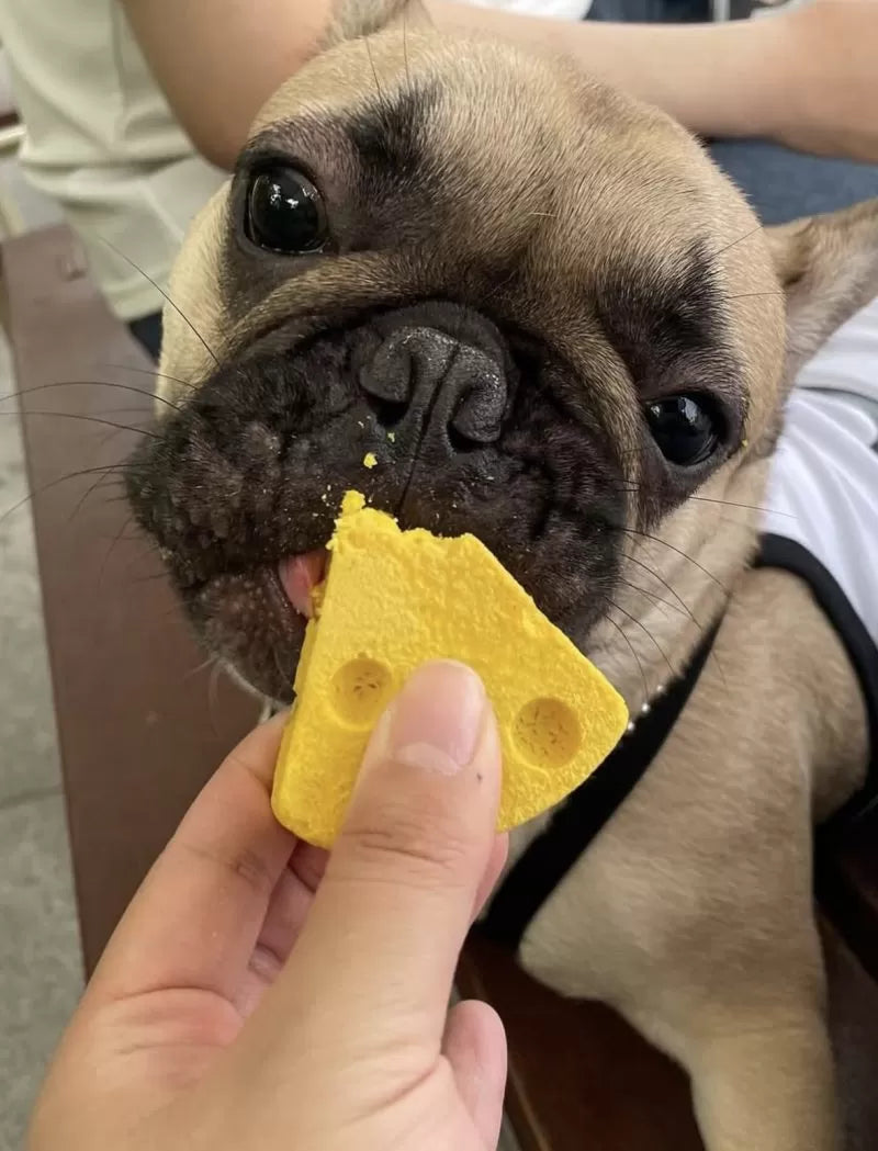 High Four Mung Cheese – Freeze-Dried Cheese, Dog Treat, 0.71-oz