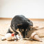 Lambwolf Collective Ice Cream Pop, Dog Snuffle Toy