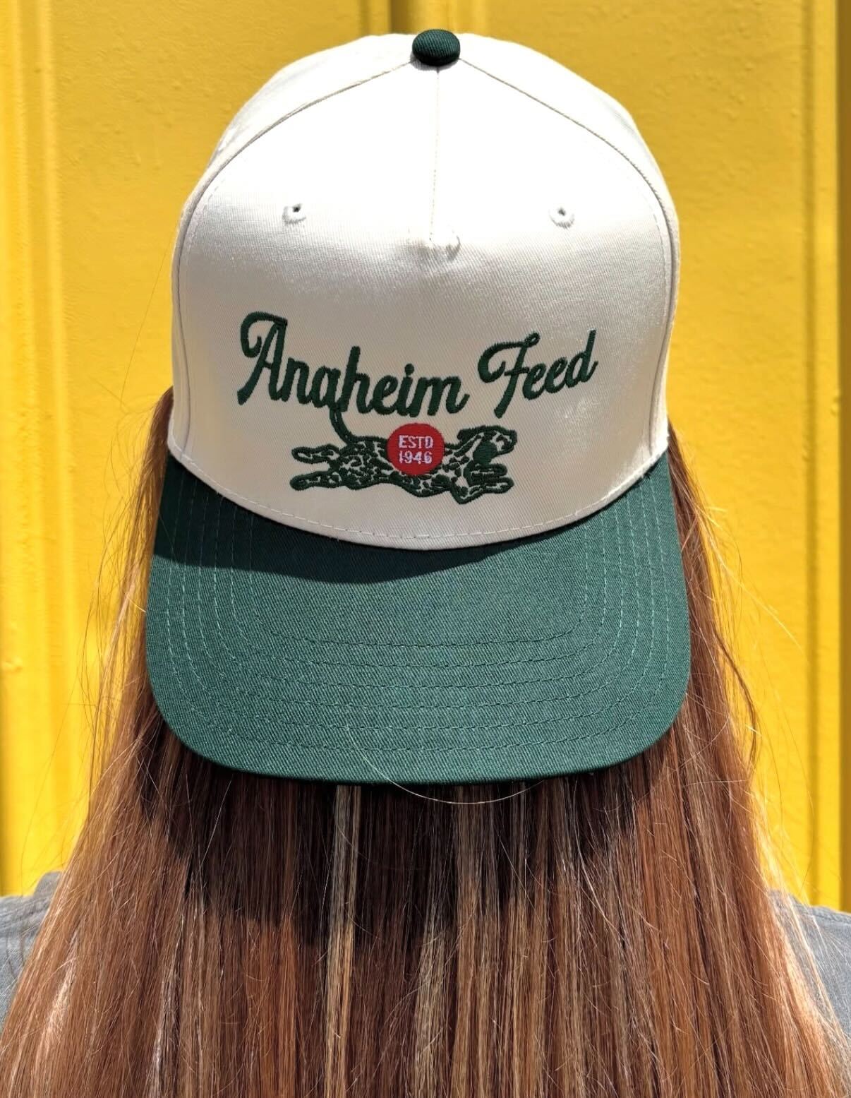 Anaheim Feed 2 Tone Hat - Green