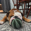Lambwolf Collective Watermelon Pop, Dog Snuffler Toy