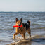 Katie's Bumpers Original Bumper Best Dog Fetch Toy, Orange