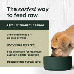 Instinct Raw Freeze-Dried Meals Cage-Free Chicken Recipe For Puppies, Dog Food
