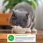 Inaba Dashi Delights Chicken With Cheese Recipe, Cat Food Toppper