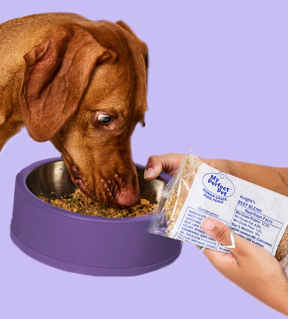 My Perfect Pet Knight's Blend Beef Grain-Free, Gently Cooked Dog Food