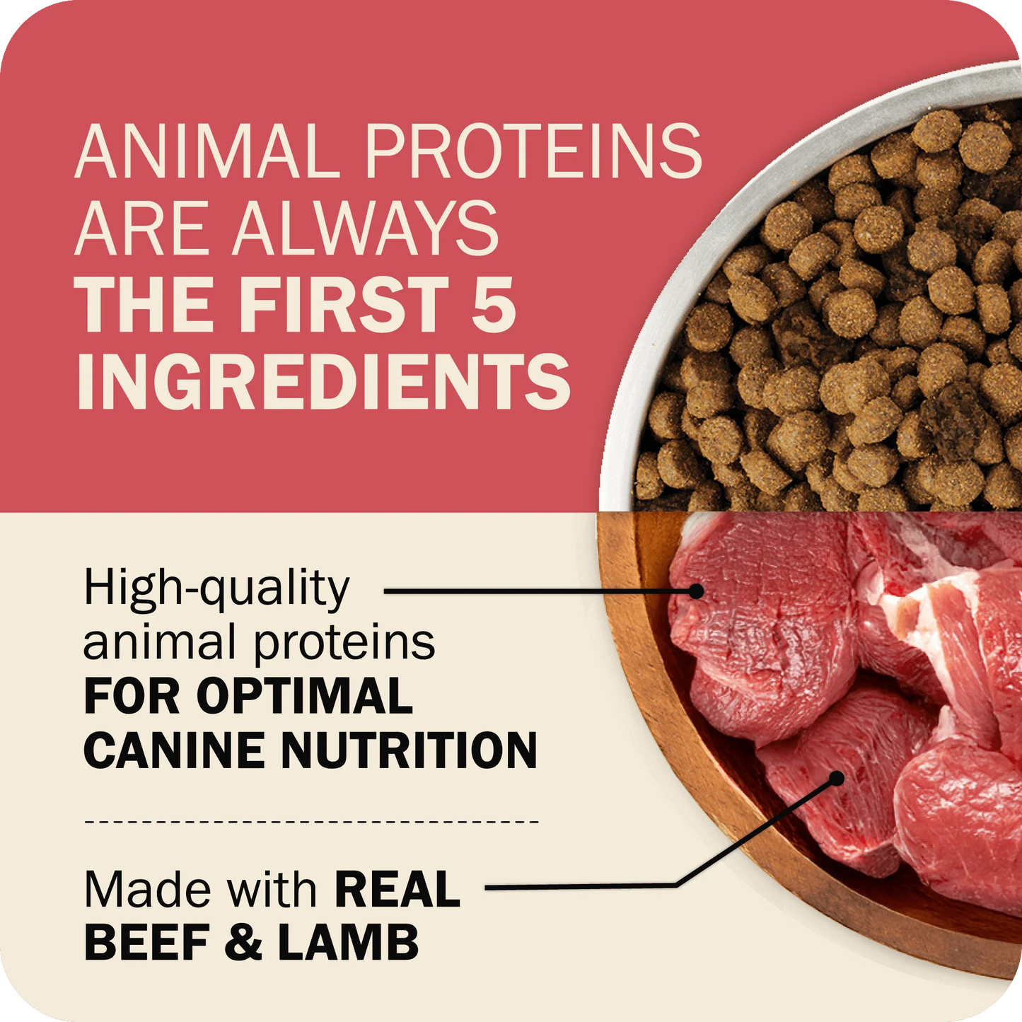Nutritious whole grain dry dog food by Redbarn Powerfood Fusion Land Mix