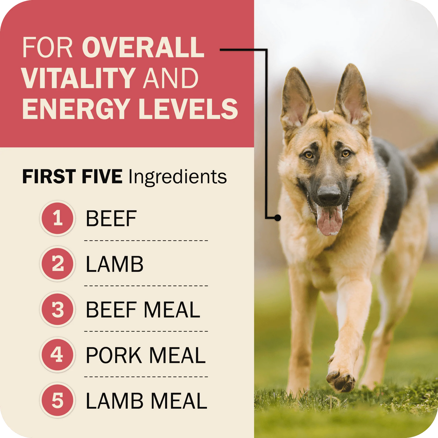 Redbarn Powerfood Fusion Grain-Free Land Mix Recipe, Dry Dog Food