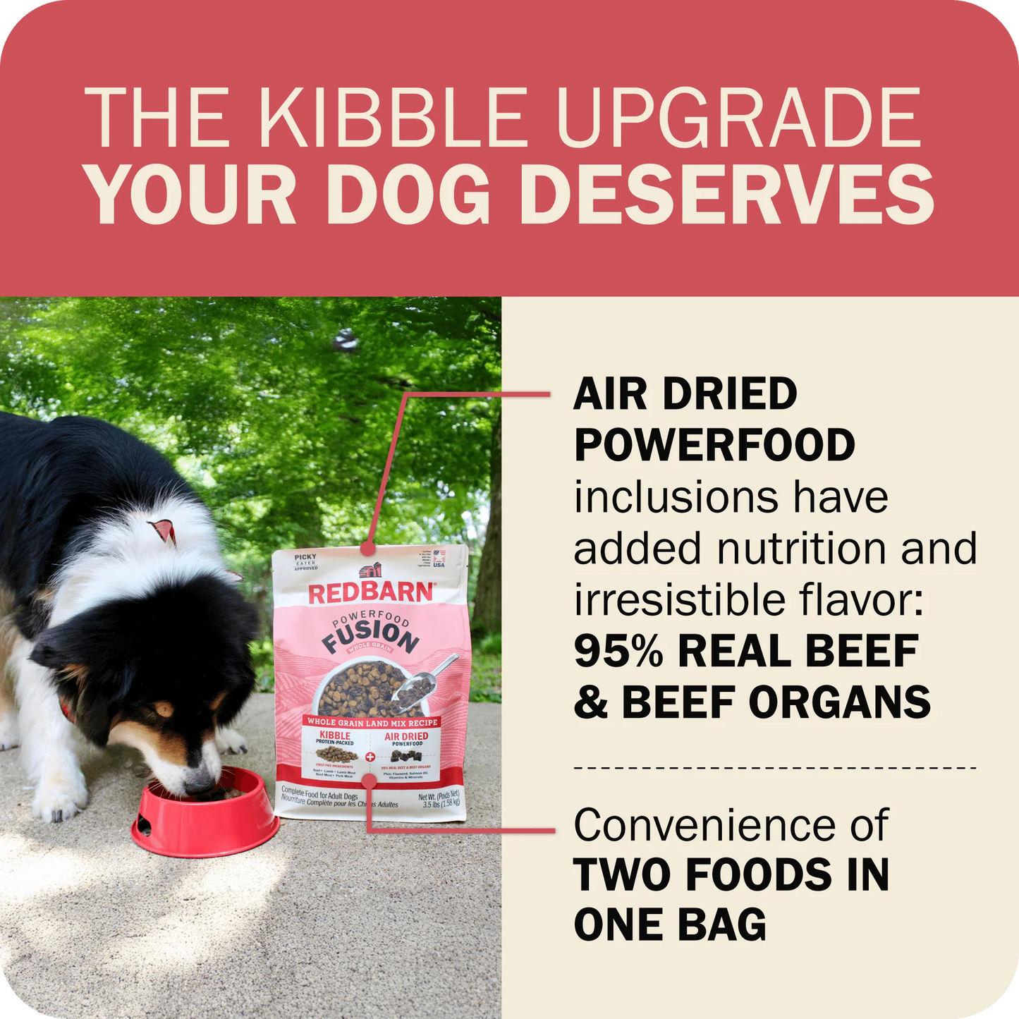 Redbarn Powerfood Fusion Whole Grain Land Mix Recipe, Dry Dog Food