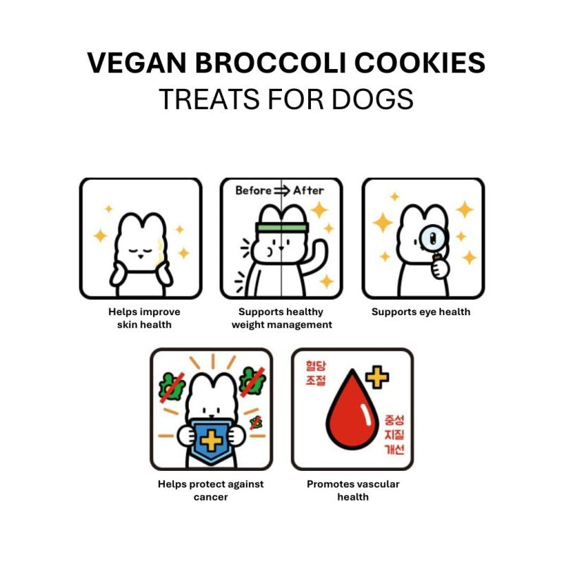 High Four Vegan Cookie for Dogs – Sweet Pumpkin, Dog Treat, 3.53-oz Bag