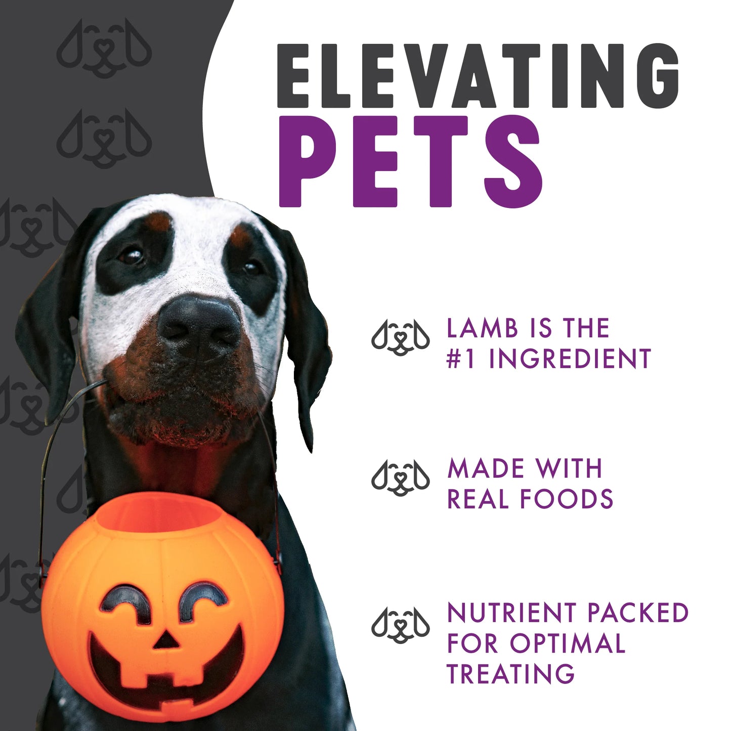 Monster Snacks Soft Chew Lamb and Sweet Potato, Dog Treats, 6-oz Bag