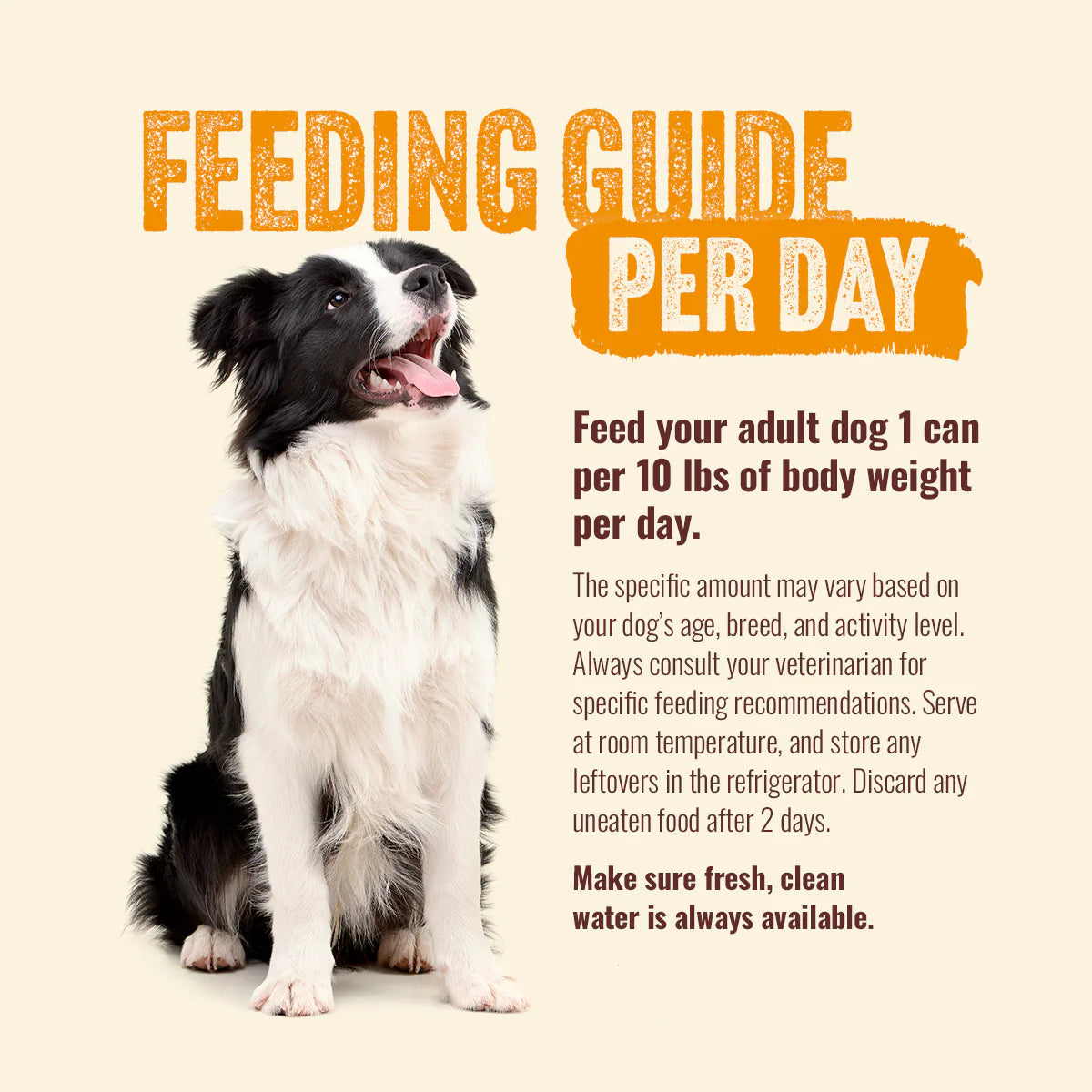 Natural Farm Poultry Recipe, Wet Dog Food, 12.8-oz, Case of 12
