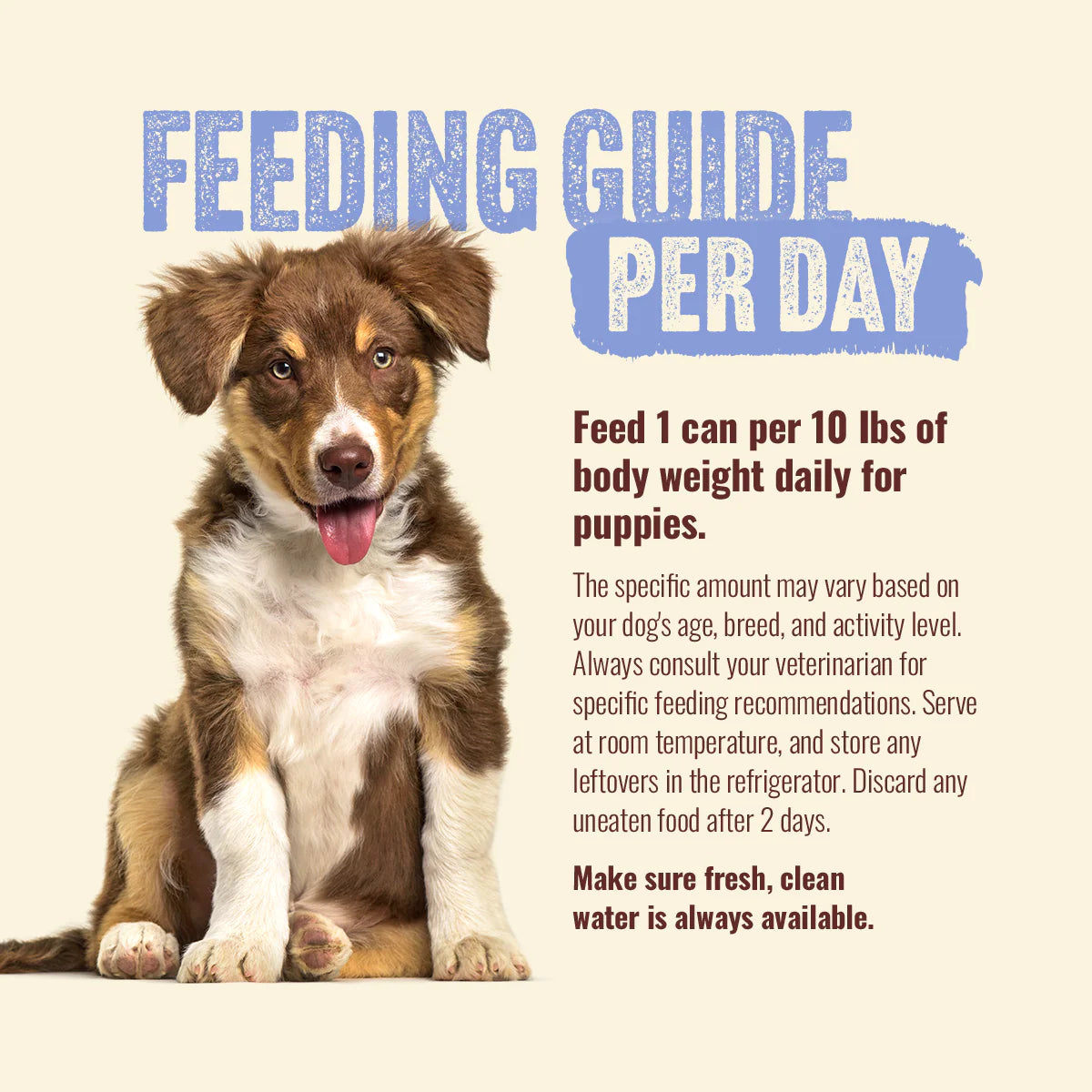 Natural Farm Puppy Recipe, Wet Dog Food, 12.8-oz, Case of 12