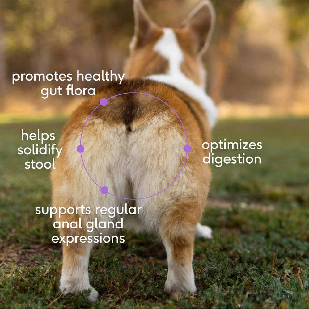 Native Pet Wondergland, Dog Supplement, 8-oz Bag