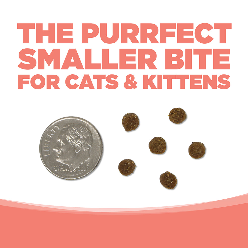 NutriSource® Ocean Select Cat & Kitten, Grain-Free Dry Cat Food
