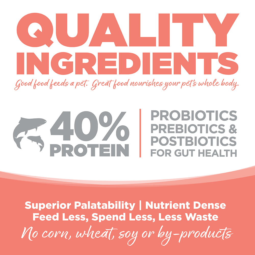 NutriSource® Ocean Select Cat & Kitten, Grain-Free Dry Cat Food