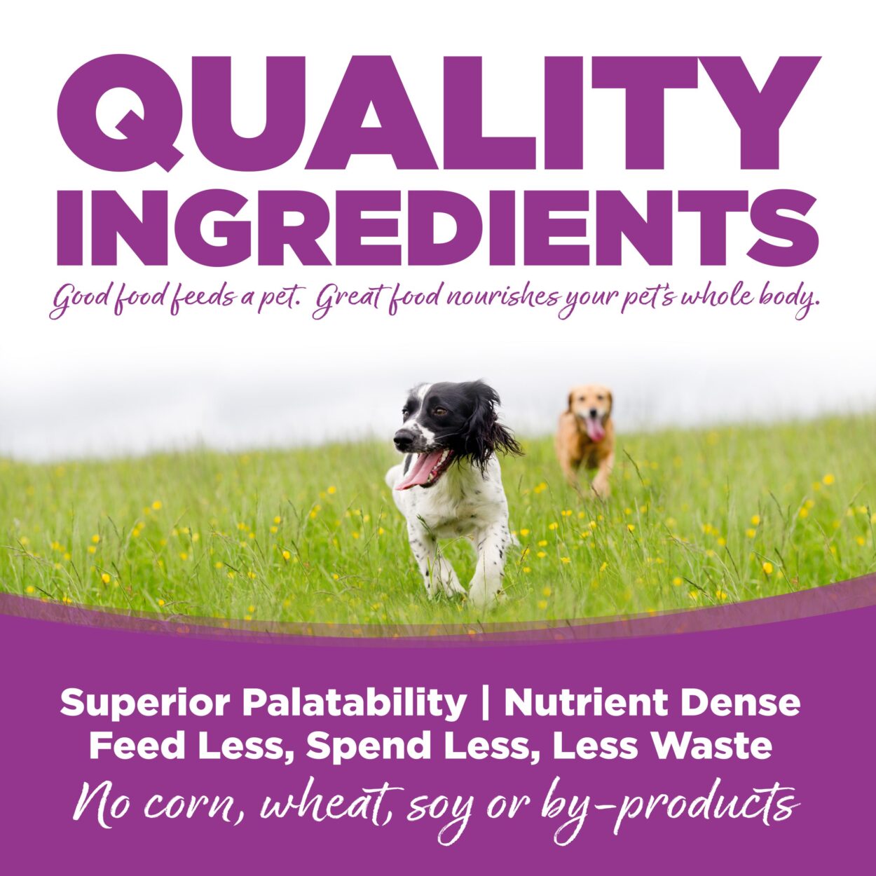 High-quality wet dog food by NutriSource® for growing puppies, 12-pack cans