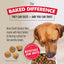 Nulo Culinary Harvest Baked Turkey & Herring Recipe for Adult Dogs, Dry Dog Food