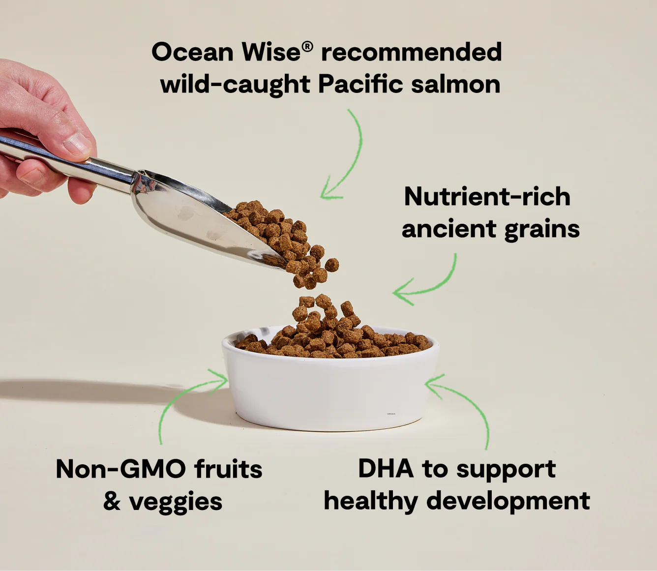 Open Farm Puppy Salmon & Ancient Grains, Dry Dog Food