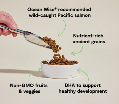 Open Farm Puppy Salmon & Ancient Grains, Dry Dog Food