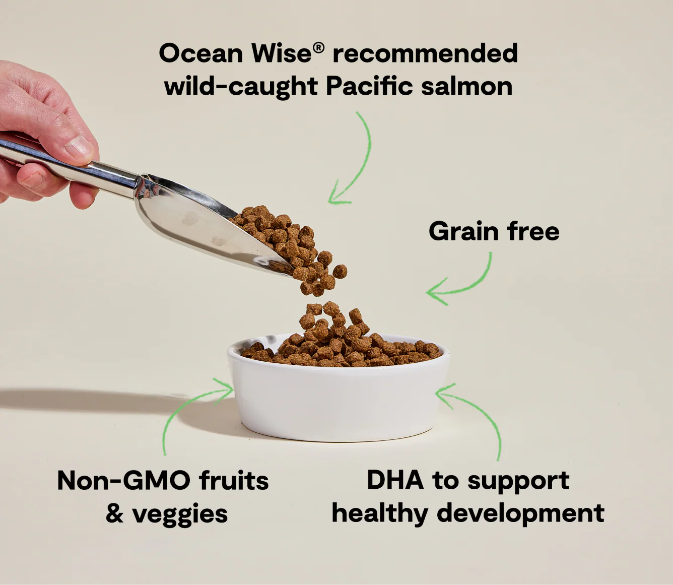 Open Farm Puppy Salmon Grain-Free, Dry Dog Food