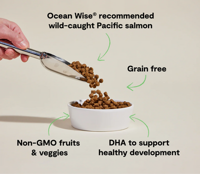 Open Farm Puppy Salmon Grain-Free, Dry Dog Food