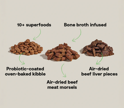 Open Farm Epic Blend Beef and Superfood, Dry Dog Food